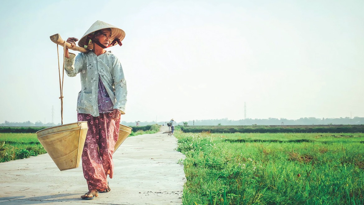 Quinto viaje: Vietnam